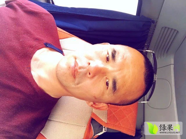 2016年河南中牟京欣价格