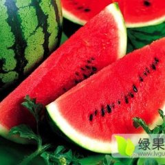 2016蒲城 大棚西瓜，专业代办