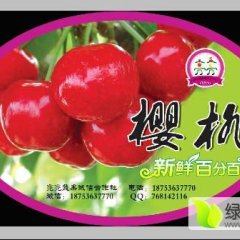 2016沂源樱桃收购工作全面开展