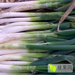 安丘金元宝果蔬合作社 安丘大葱