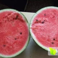 陕西大荔县西瓜诚信代办供应