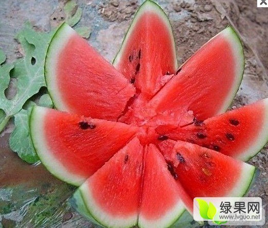2016年河南睢阳京欣价格