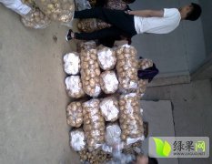 湖北襄州中薯系列土豆香甜可口