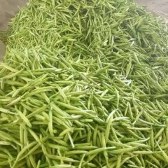 本人现有大量新鲜黄花菜出售