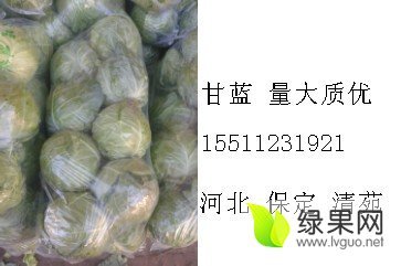 2016年河北清苑甘蓝价格