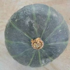 清苑清凉李超5月金红冠南瓜