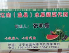 蓋州太陽張明震5月雙星西瓜