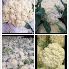 徐州市沛县白面青梗( 有机散菜花)大量上市