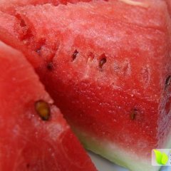 清苑蒋庄韩红双5月京欣西瓜