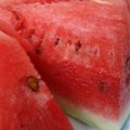 清苑蒋庄韩红双5月京欣西瓜