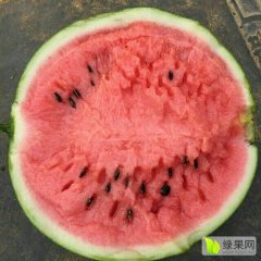 陕西沙密佳西瓜供应18791309935