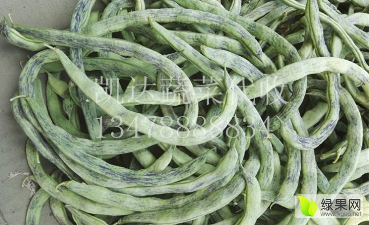 供应:2020年辽宁新民马掌,花皮豆角代收代办