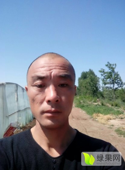 2017年山东惠民京欣价格
