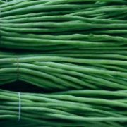 山东惠民长豆角大量供应