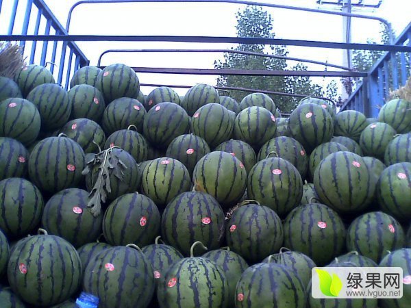 2016年陕西蒲城京欣价格