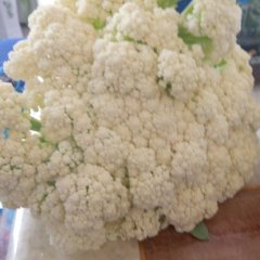 白面青梗松花菜