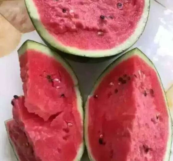 2016年山东坊子京欣价格