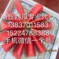 2019年商丘西瓜最新批发价格
