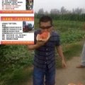 2016年河南开封周口实力代办和你诚信合作发瓜财