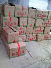 山东惠民荷兰十五 李敬涛诚信合作