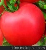 平度芙瑞特斯果实大红色，硬度高