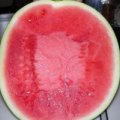 惠民麻店苏严锋6月花皮无籽西瓜
