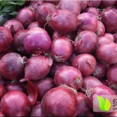 山东惠民紫皮洋葱 外皮紫紅色，肉質細嫩