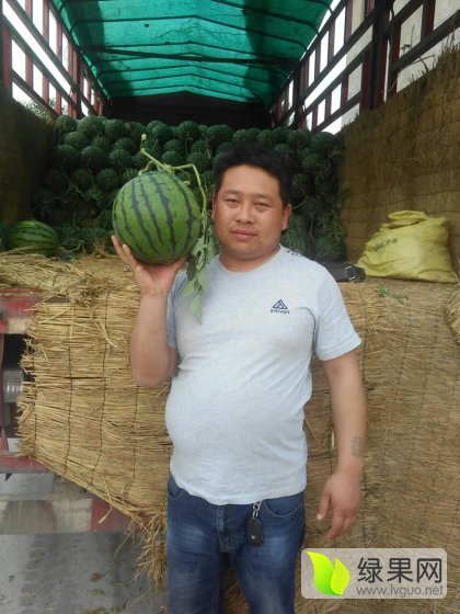 2016年河南开封京欣价格