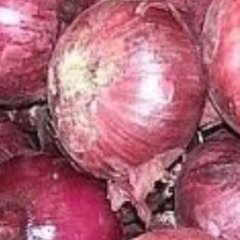 2016东昌府洋葱走过路过不要错过