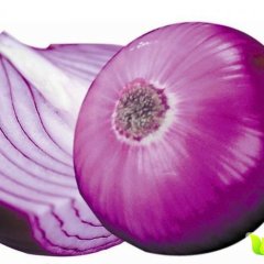 东昌府洋葱聚焦市场沙镇李百臣诚信合作