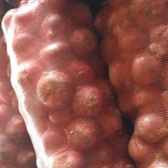 尉氏本区域完全头茬种植，产量高，品质优