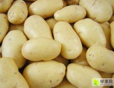 江南果蔬批发市场荷兰十五土豆