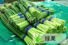 白桥优质蒜薹 又到了老板们赚钱的时候了