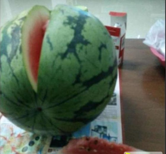 8424西瓜价格