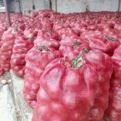 陕西泾阳红皮洋葱绿色无公害