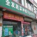 山东蒙阴县西瓜种植历史早