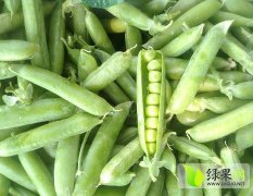 甘肃靖远豌豆品种有中豌6号，长寿豆