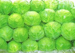 玉田县永发蔬菜公司大头菜