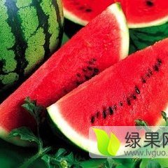 河北西瓜价格报价一锅端(惊喜篇）
