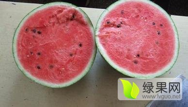 阜城西瓜香甜可口漫河杜啸诚信合作