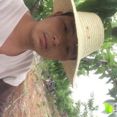 宜城板桥陈永波5月春雪蜜桃