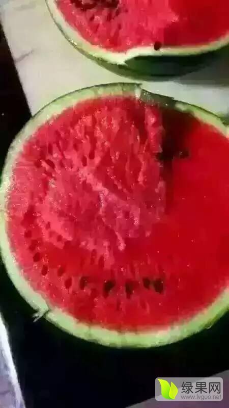 2016年河南通许京欣价格