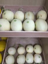 2016年江苏东台玉菇价格