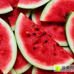 饶阳西瓜我处质优价廉一分利合作