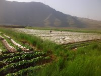 永登县民乐乡夏季凉爽，日照充足