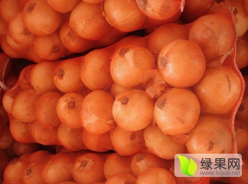2016年山东金乡黄皮洋葱价格