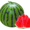 大荔两宜张红阳5月西瓜