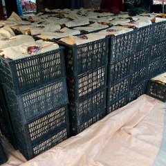 2016随州油桃果肉橙黄色，硬溶质