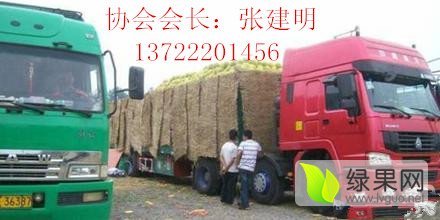 河北蠡县京欣西瓜名优产品