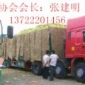 河北蠡县京欣西瓜名优产品